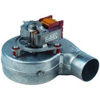 Alpha 1.012307 Fan Alpha 1.012307 Fan