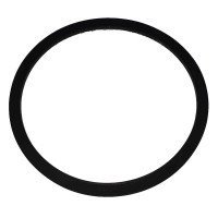 Biasi BI1172113 Pump Gasket