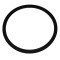 Biasi BI1172113 Pump Gasket