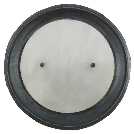 Main 10/12460 Diaphragm And Thrust Plate
