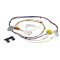 Worcester 87161066990 Wiring Harness - Main - ( Sensor / Sensing Elec / Gas Valve )
