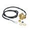 Worcester 87161114060 Flow Switch Assembly