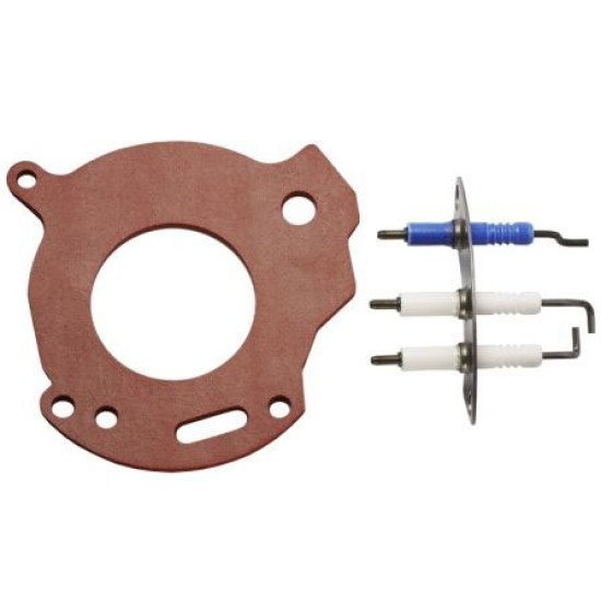 Worcester 87161163810 Electrode Worcester 87161163810 Electrode