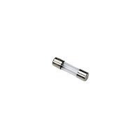 Worcester 87161560000 Fuse - 2 Amp - Slow Blow - 20mm X 5mm